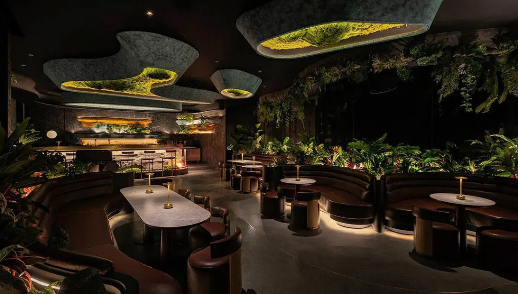 Congo Bar