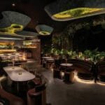 Flowey SCBD: An Earthy Dining Escape
