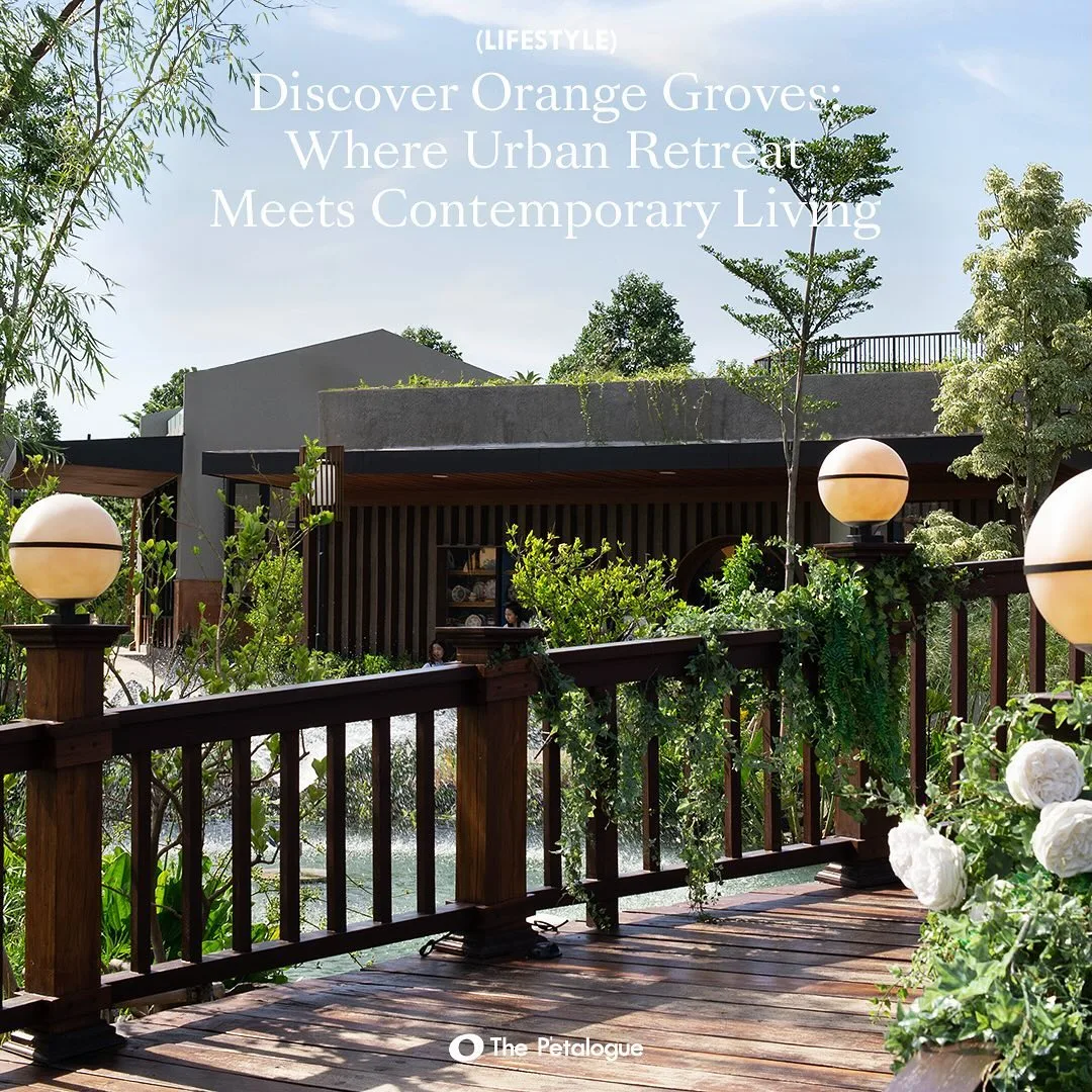 Orange Groves