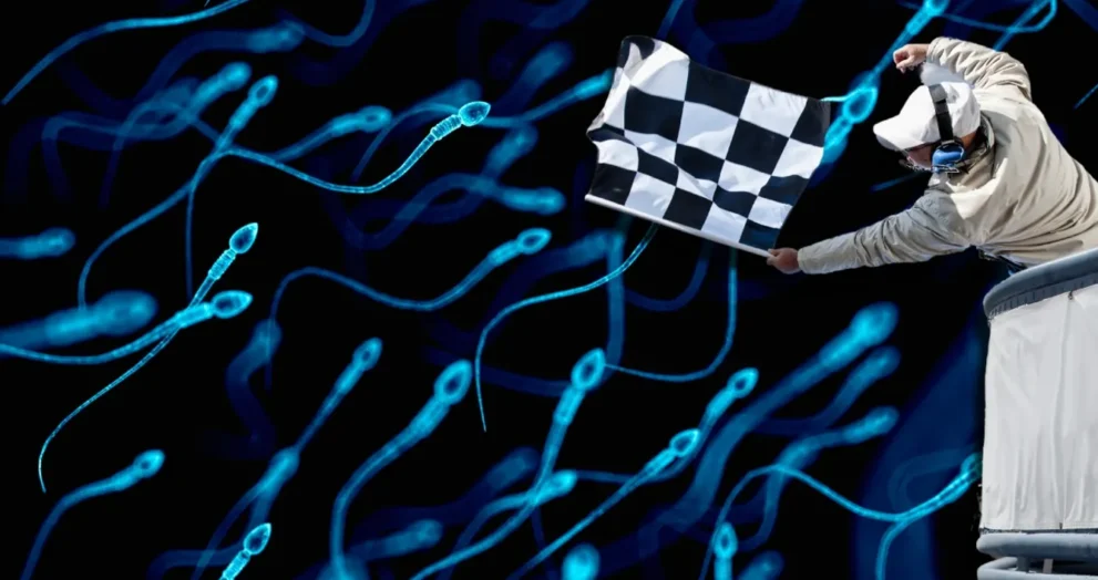 sperm racing
