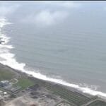 LindungiHutan Gunakan Momen Hari Persahabatan untuk Dorong Aksi Tanam Pohon