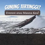Mengapa CRM AI Barantum Cocok untuk Semua Skala Bisnis?